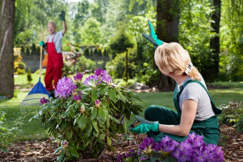 Garden clearing debris in Archway