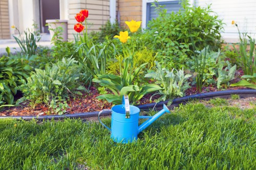 Variety of plants suitable for Archway landscape gardening