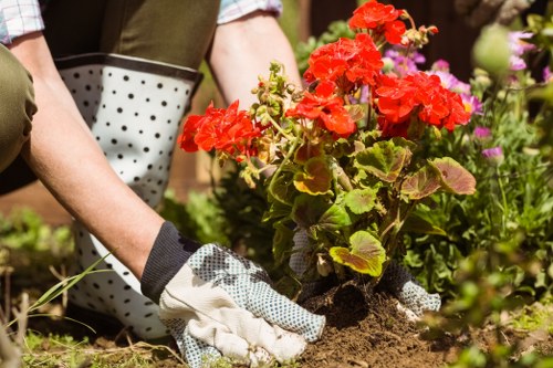 Eco-friendly garden clearance methods