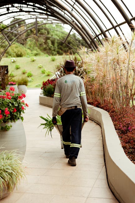 A gardener is walking along a curved, paved pathway inside a large botanical greenhouse, carrying a bunch of green plants in one hand and a gardening tool in the other. The gardener is dressed in a gr